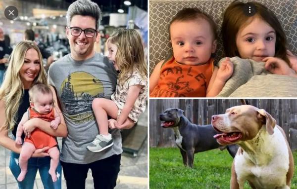 حادثة مروعة.. مقتل طفلين وإصابة أمهما جراء هجوم كلبين عليهم